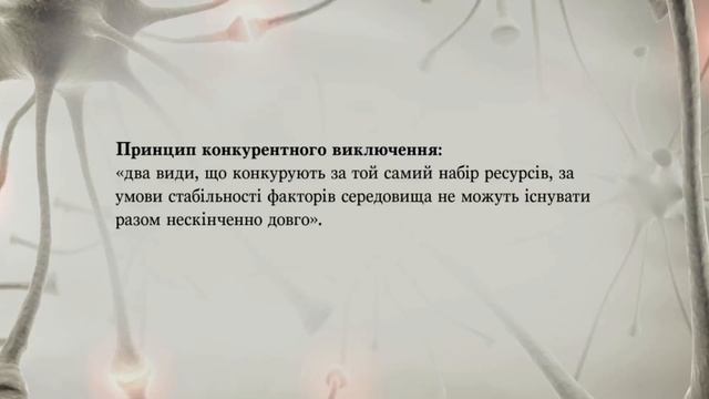 Модуль 7. Екологія і еволюція. Заняття 3: Поняття про екологічну систему