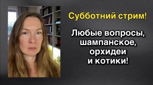 Моё увольнение, дети Монтян, цветущий европейский сад и другие неотложные вопросы! 😎😤😁