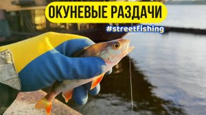 #streetfishing | В поисках раздачи окуней |