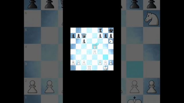 CAPABLANCA #chess #chesstime #chessgame #chesspiece #chesscom #chessmaster #Chessclip #chesslove