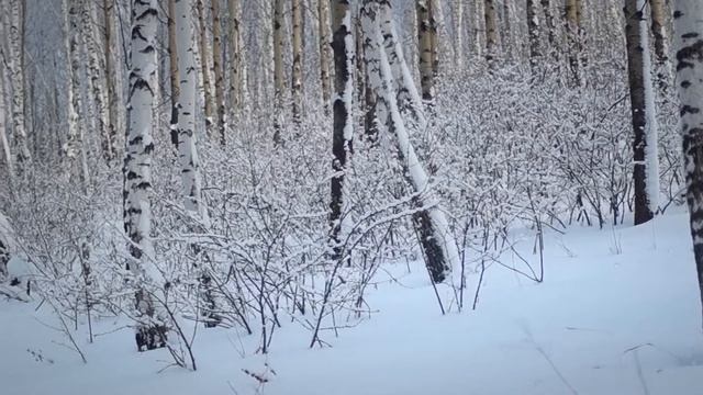Зимние мотивы смотреть онлайн