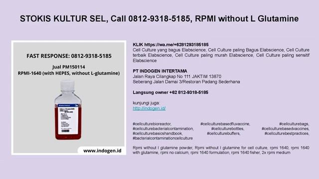 PRIMARY CELL CULTURE, Call 0812 9318 5185 смотреть онлайн