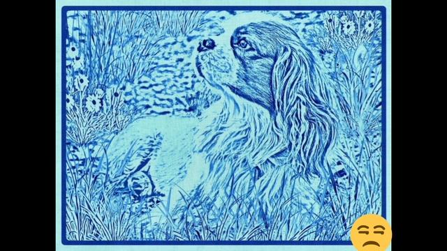 Тест на зрительное восприятие. Кто спрятался рядом с собакой? смотреть онлайн