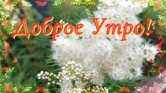 Открытка доброе утро музыкальная