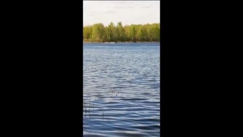 VTS_01_1--online-audio-convert.com