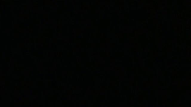 5" SH 5002 Red green crossette w/crackling pistil (L) 24/1 смотреть онлайн