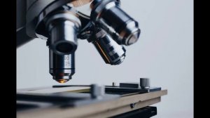 Циноморий кокцинеум и его влияние на фертильеность и гормоны