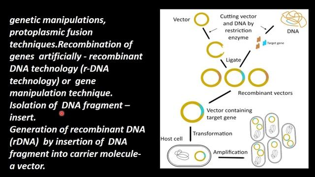 6.Botany | Biotechnology - Principle and Processes | Recombinant DNA Technology