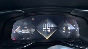 Появление ошибки по Адблю из за сбоя датчика уровня мочевины в баке (DS7, 2019 гв, 2,0 HDI (EHZ).