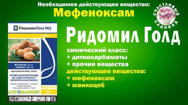 КАК БЫСТРО ИЗБАВИТЬ САД ОТ ЛОЖНОЙ МУЧНИСТОЙ РОСЫ. БОЛЕЗНИ РОЗ. ЛОЖНАЯ МУЧНИСТАЯ РОСА (ПЕРОНОСПОРОЗ)
