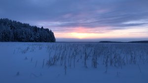 Зимняя рыбалка в Карелии | Ловля налима на жерлицы и поставухи 2018