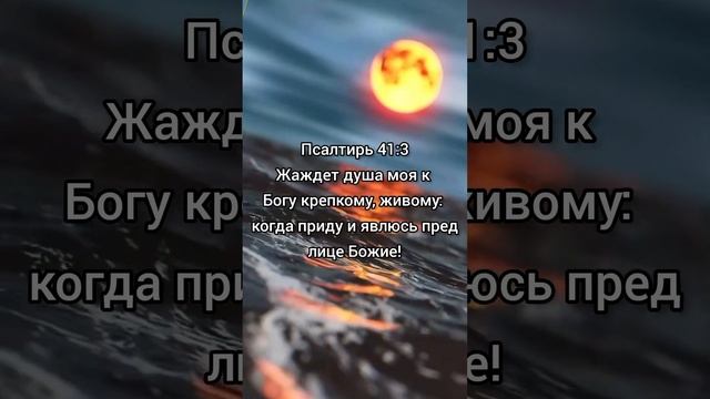 Доброе утро! смотреть онлайн