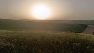 станица Отрадная