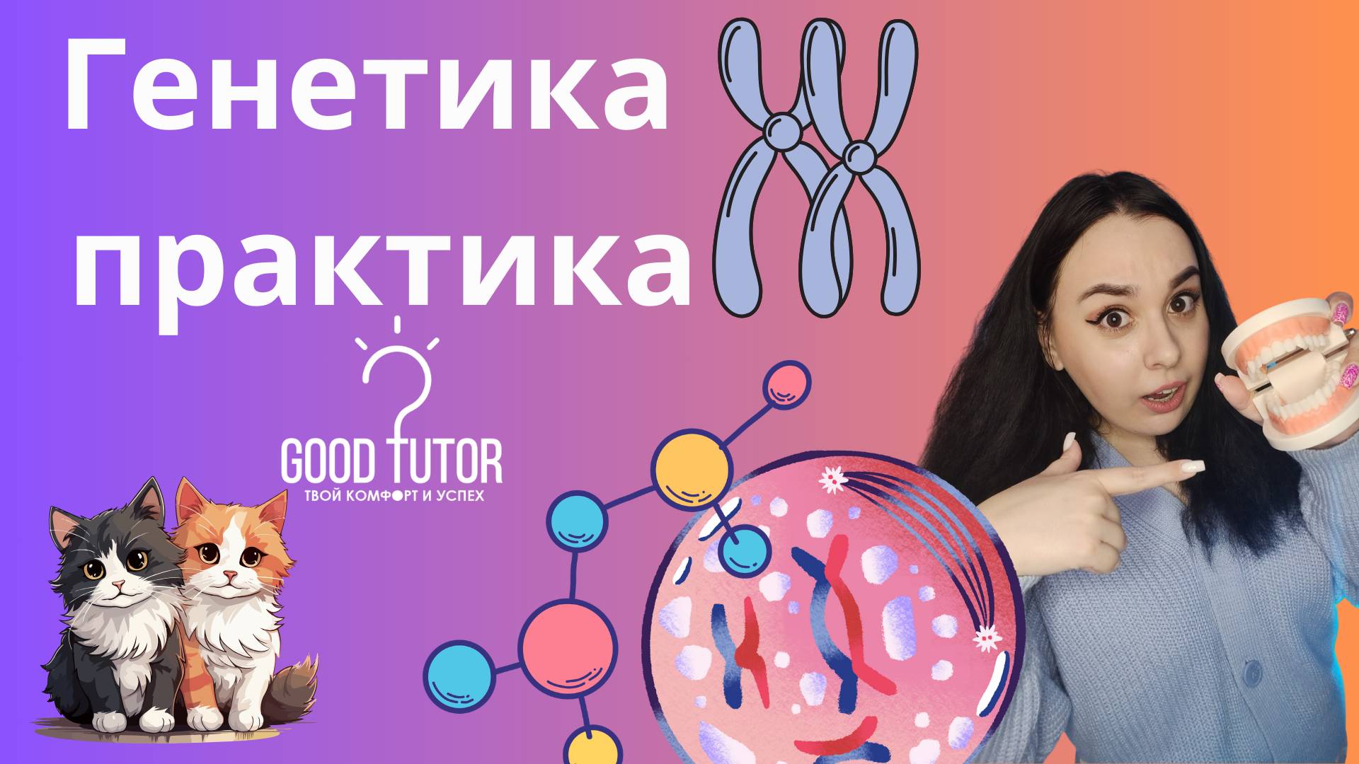 Генетика. Полимерия. ЕГЭ 2025. Биология
