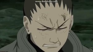 Смерть Шикаку Нара