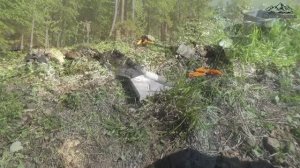 Золотые пробы Каменной реки