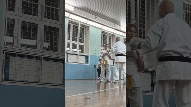 Кёкусинкай #351 / Центр Поларбудо / Проработка защиты от ударов руками / Милена Крук (14.11.24)