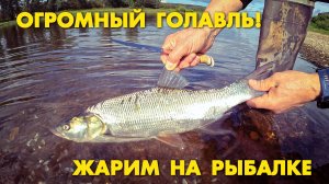 ОГРОМНЫЙ ГОЛАВЛЬ!!! ЖАРИМ НА РЫБАЛКЕ