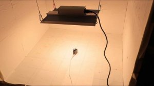 Обзор фитолампы Bestva 1000