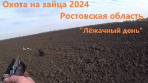 Охота на зайца 2024. Заяц под каждой кочкой. Ростовская область