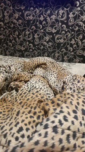 Короче вечером