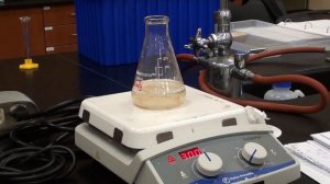 Synthesis of Acetanilide
