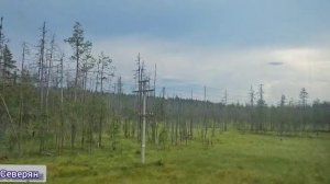 Релакс под стук колес. ЖизньСеверян. поезд.