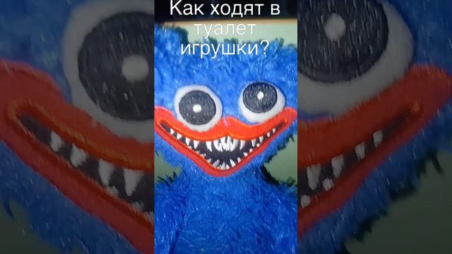 Как они ходят в туалет?
