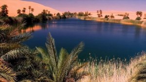 Я и Вы (Я люблю-как араб в пустыне)