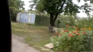 03. Наш отпуск, 2012. Часть третья. Симферополь, херсон, наша свадьба у дедушки.
