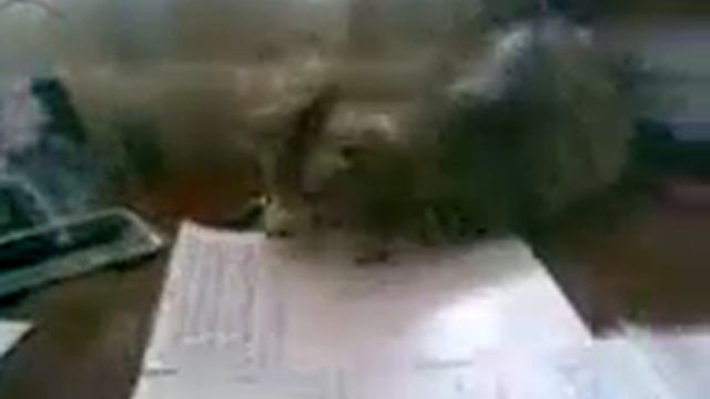 ...Уроки Французского... смотреть онлайн