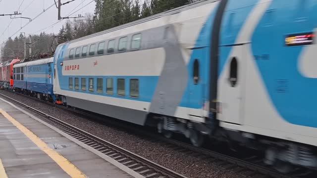 Поезд Аврора (обкатка) и ЭП2К 168, ЭП2К 500 и ЧС6 019 проезжают станцию Радищево 17.11.2024