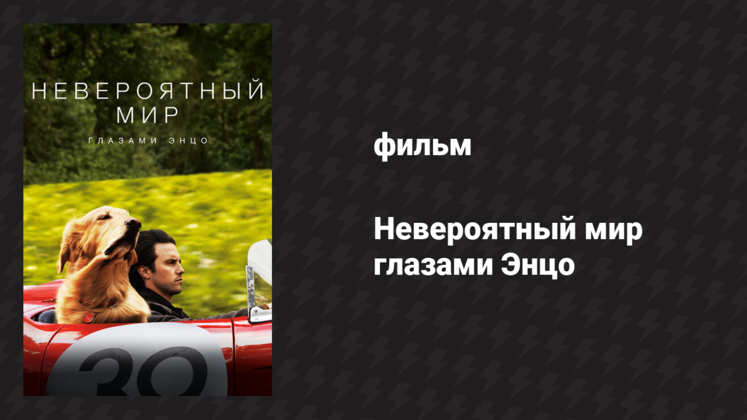 Невероятный мир глазами Энцо (фильм, 2019)