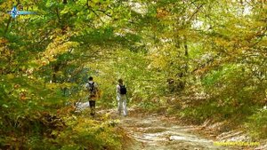 Золотая осень в горах