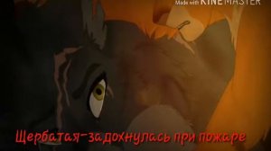 Коты-воители смерти