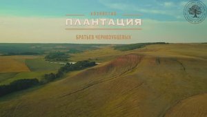 Промо-ролик Плантация братьев Чернозубцевых