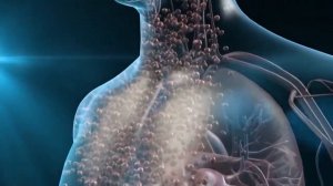 Н-500 от разработчика Роберта Тидемана