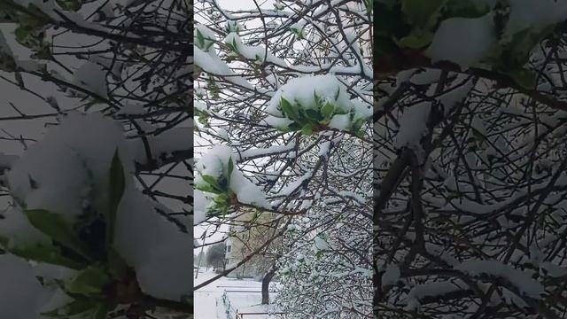 Весна на Урале... смотреть онлайн