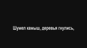 Шумел камыш ! Кавер ! Караоке (+2)