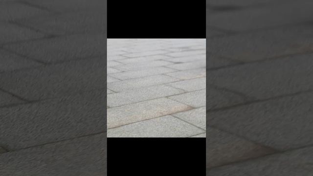 я был в музее часть 2