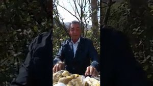 Живой голос . Надир Курах