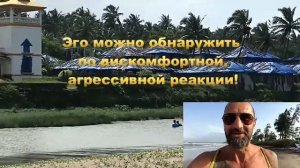 Мысли РУЛЯТ при ХОДЬБЕ на работу свидание, на прогулке..ЧТОБЫ не болеть и не грустить