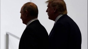 Трамп и Путин могли бы договориться о нейтральности Украины