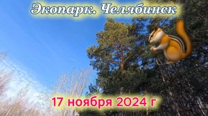 Экопарк в Челябинске 17 ноября 2024 г