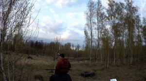 Охота на вальдшнепа весной 2024г