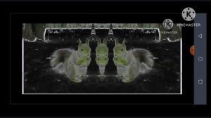 Любопытная белка in G Major 160