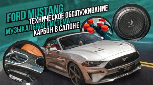 Тюнинг Ford Mustang. Карбон. Акустическая система. Техническое обслуживание. Окрас суппортов