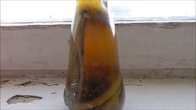 Настоящая кобра в бутылке, бутылка смотреть онлайн