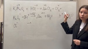 Электронно-ионный баланс. Химия для медицинских вузов