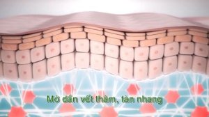 Collagen peptide CollaVie